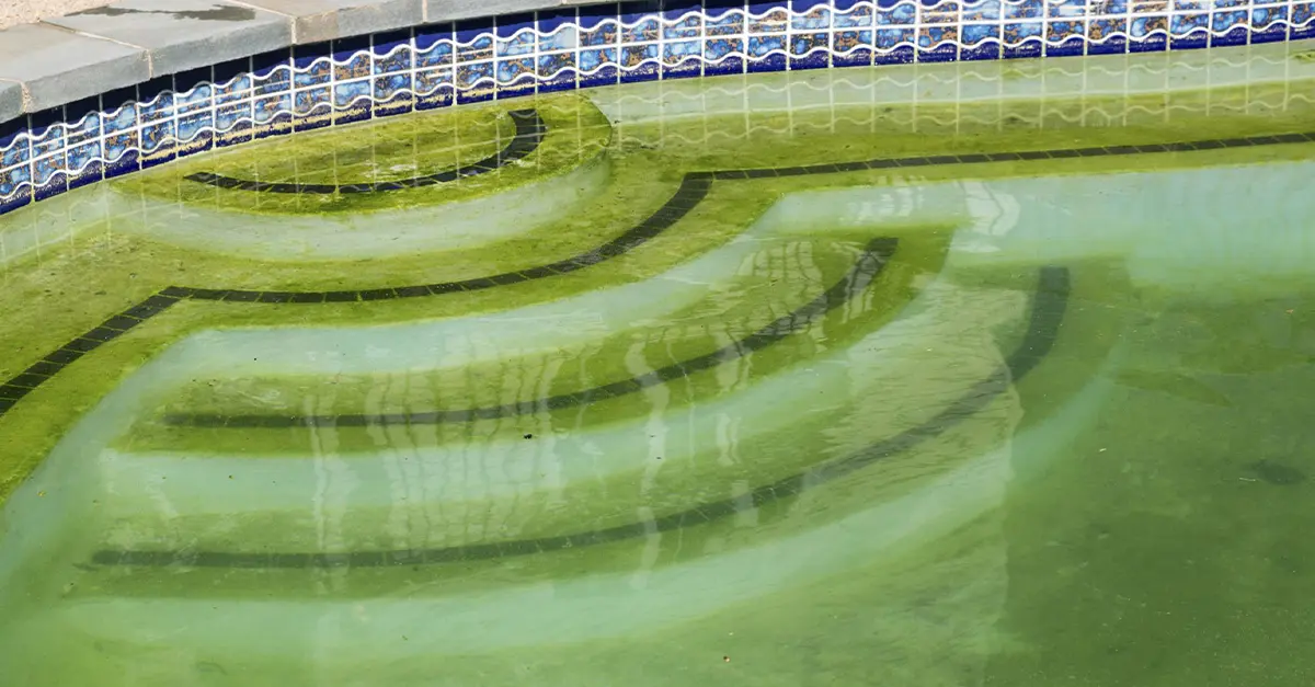 Manutenzioni piscine: come intervenire se c’è una crescita incontrollata di alghe? Shock della piscina - Baires piscine