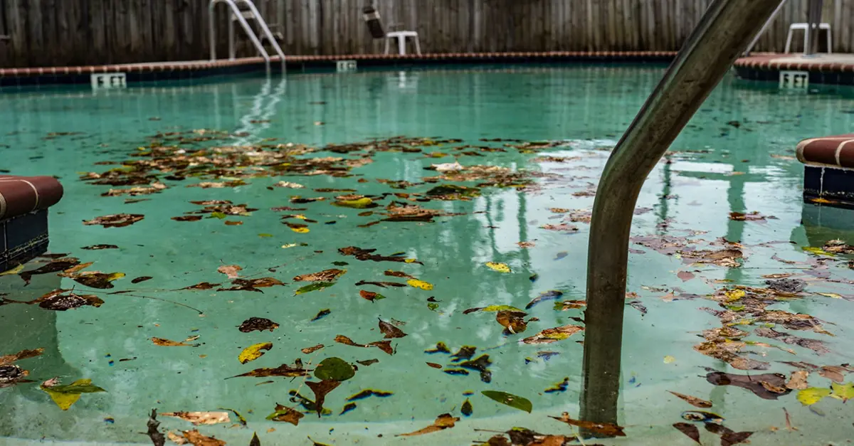 Quali sono le cause delle alghe in piscina? - Baires piscine