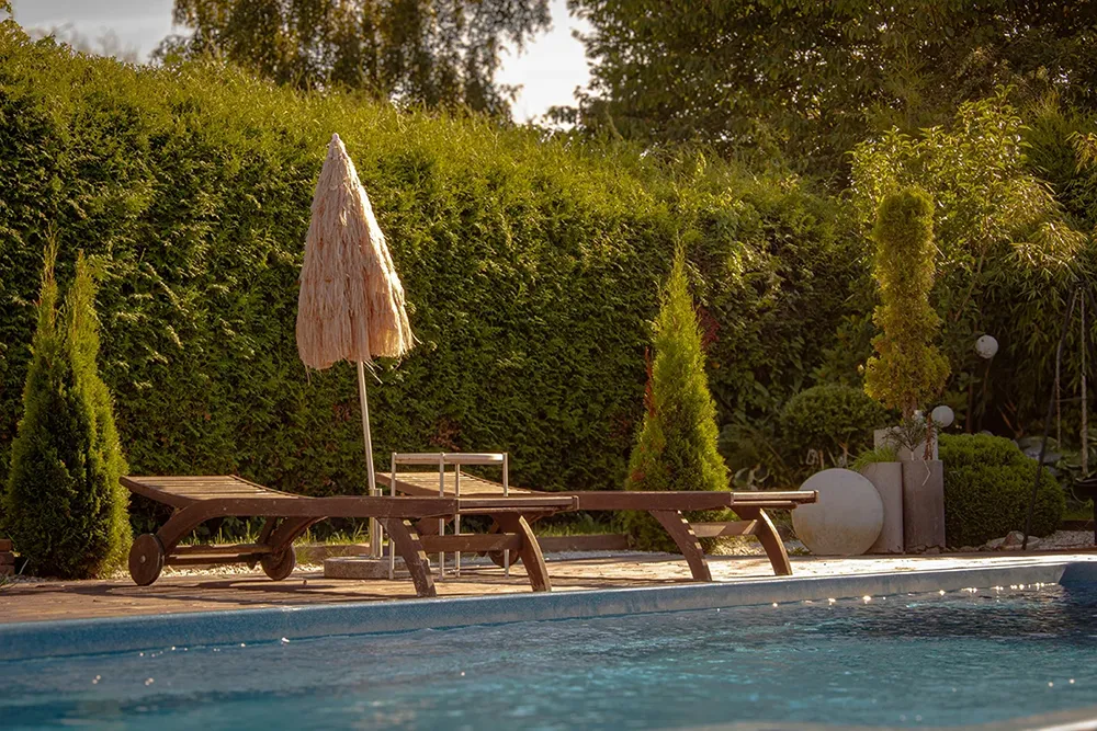 Privacy piscina: alcune soluzioni eleganti ed efficaci - Piante e siepi - Baires Piscine