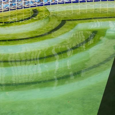 Acqua verde piscina: cause e metodi per rimediare