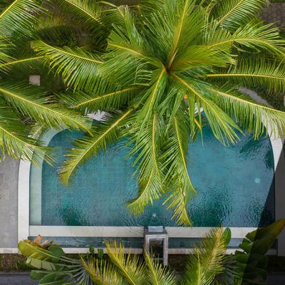 Piscina ecologica: come ridurre i consumi